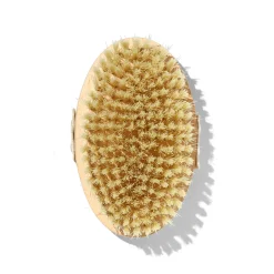 Brosse à Sec Corps