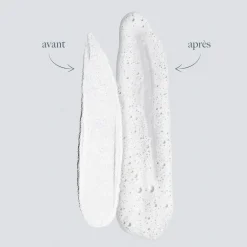 Daily Microfoliant Exfoliant Poudre