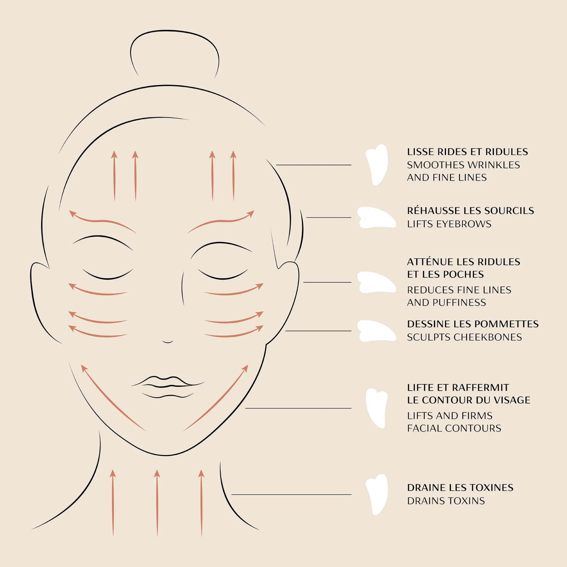 Gua Sha Visage