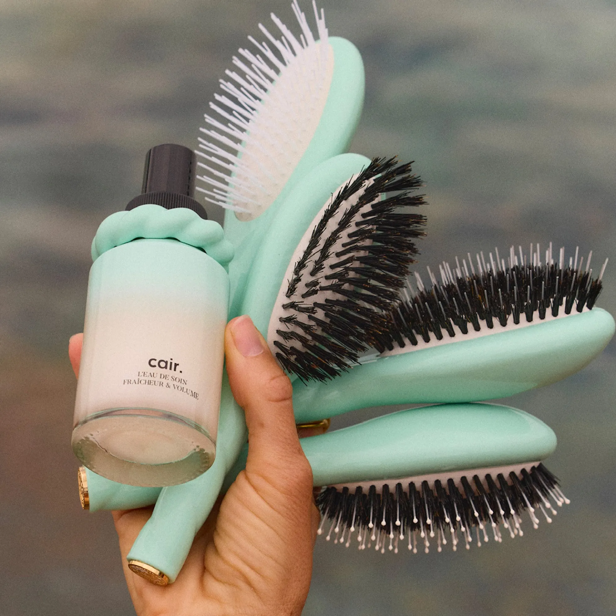 La Brosse N°01 L’Universelle Soin et Brillance