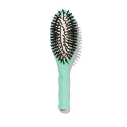 La Petite Brosse n°01 l'Universelle