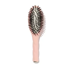 La Petite Brosse n°01 l'Universelle