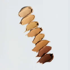 Le Correcteur