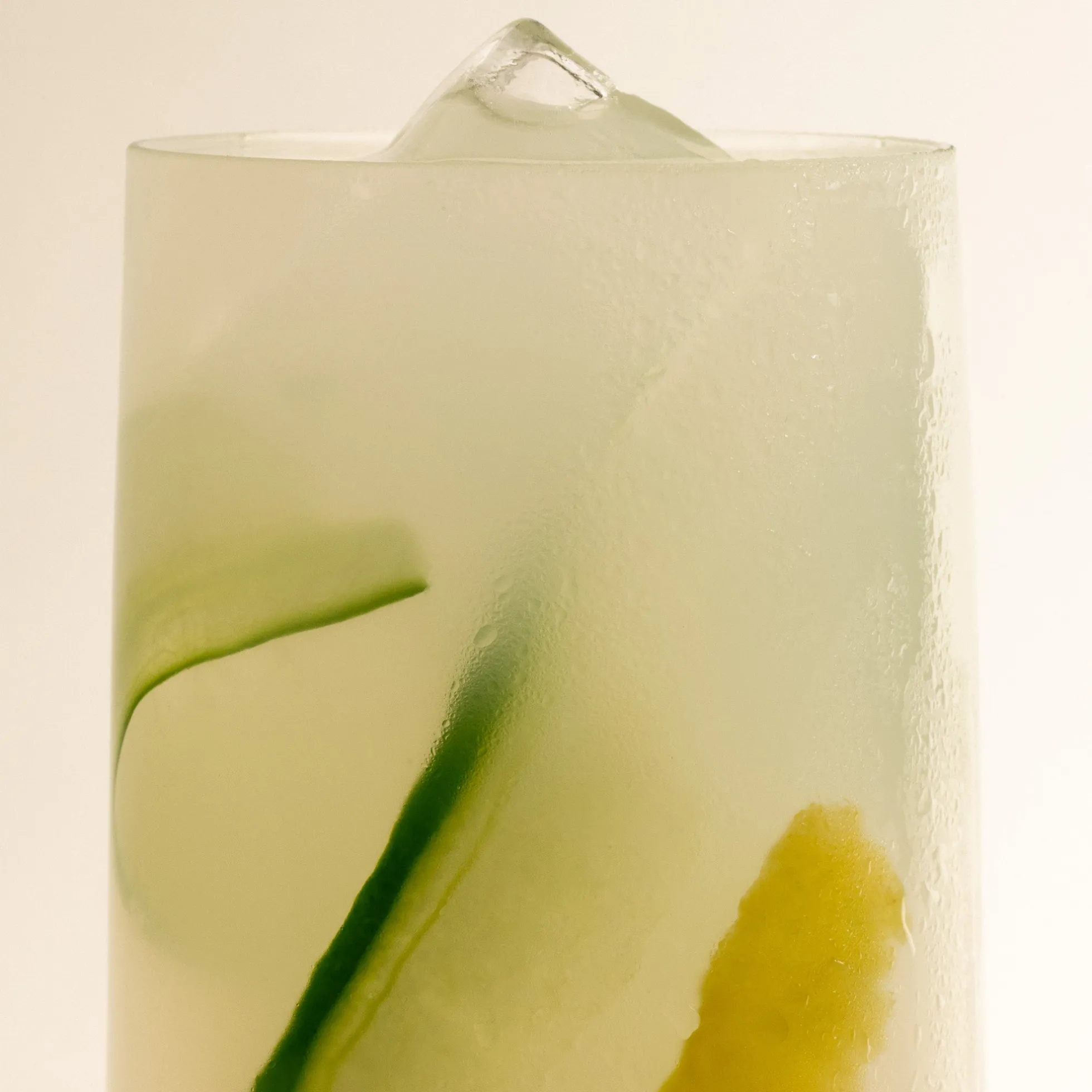 L'Hydratant Complément Alimentaire aux Électrolytes Citron Concombre
