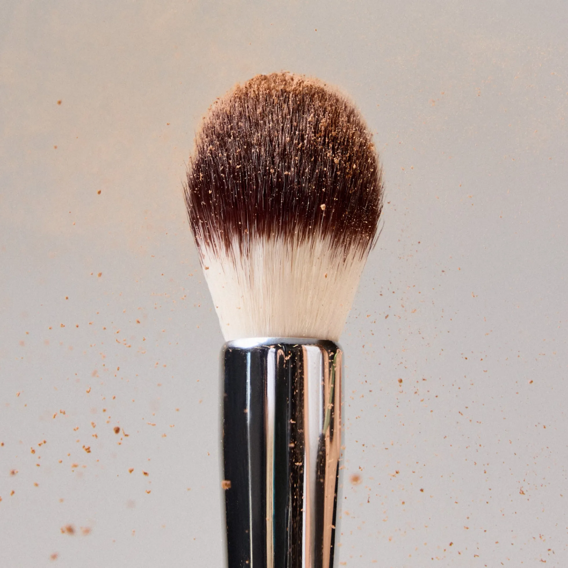 Precision Powder Brush Pinceau poudre précision