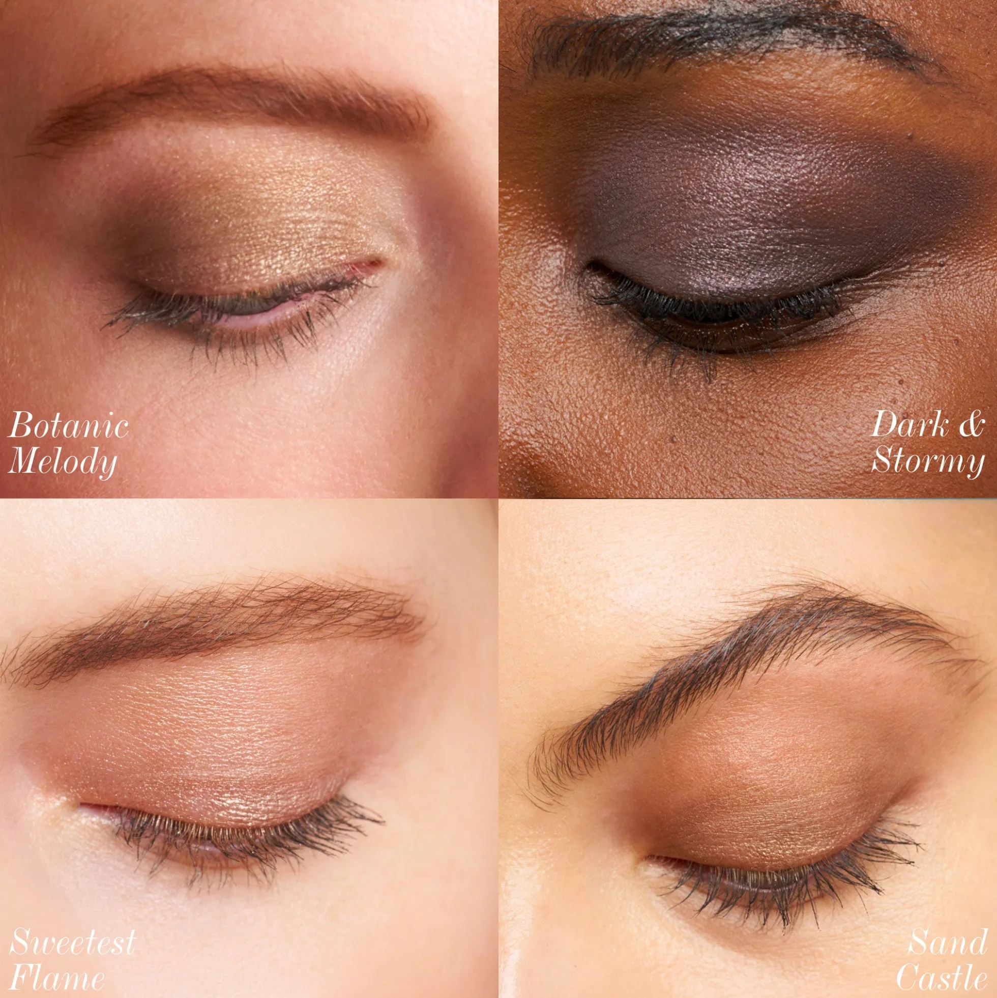 ReDimension Hydra Eyes Quartet